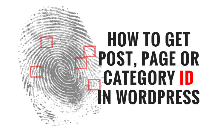 How-to-get-post-page-or-category-ID-in-WordPress